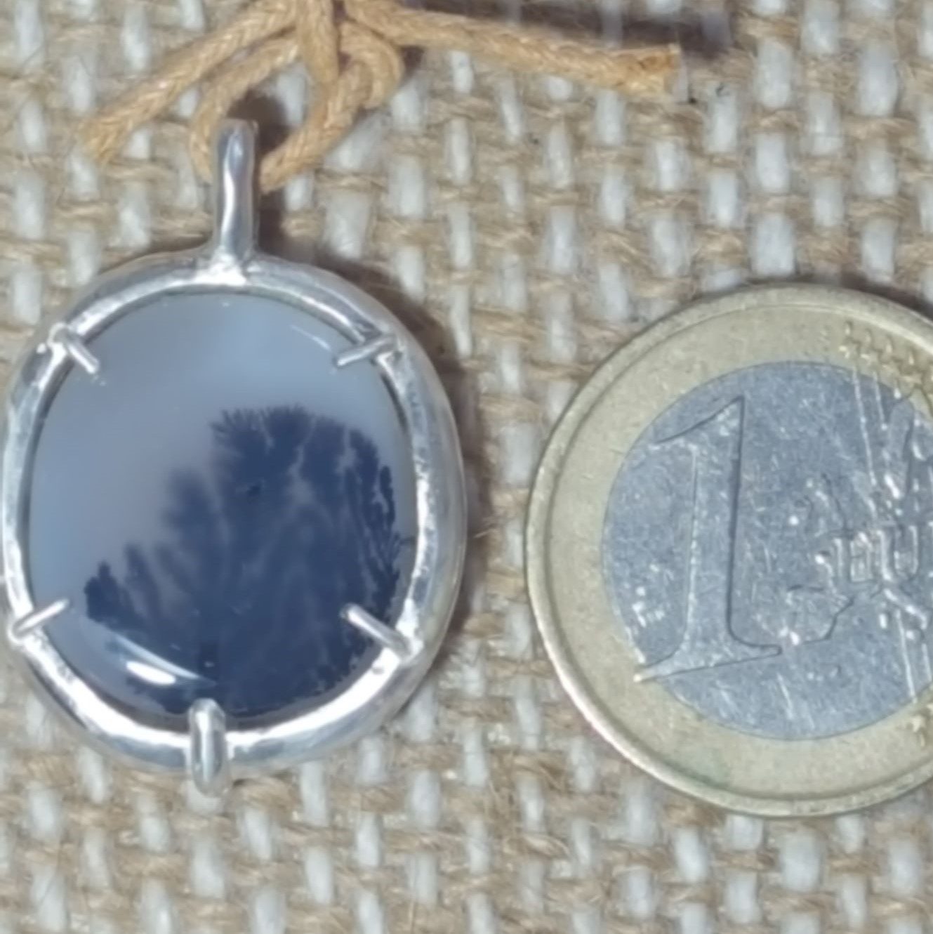 Entre algue et fougère... – Image 3