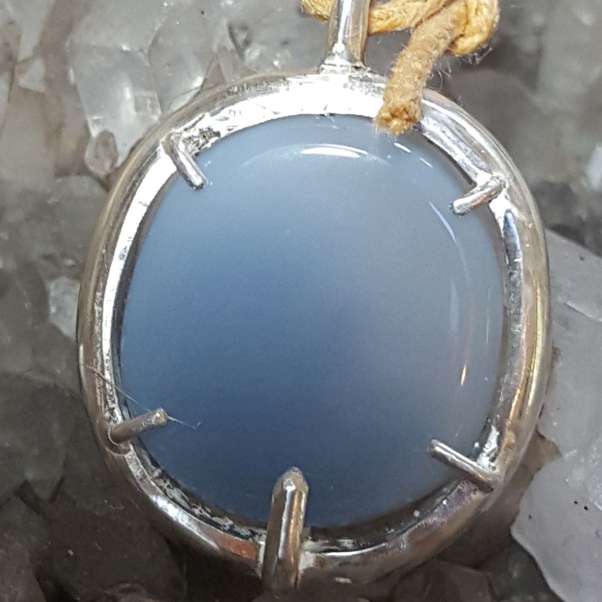 Entre algue et fougère... – Image 4