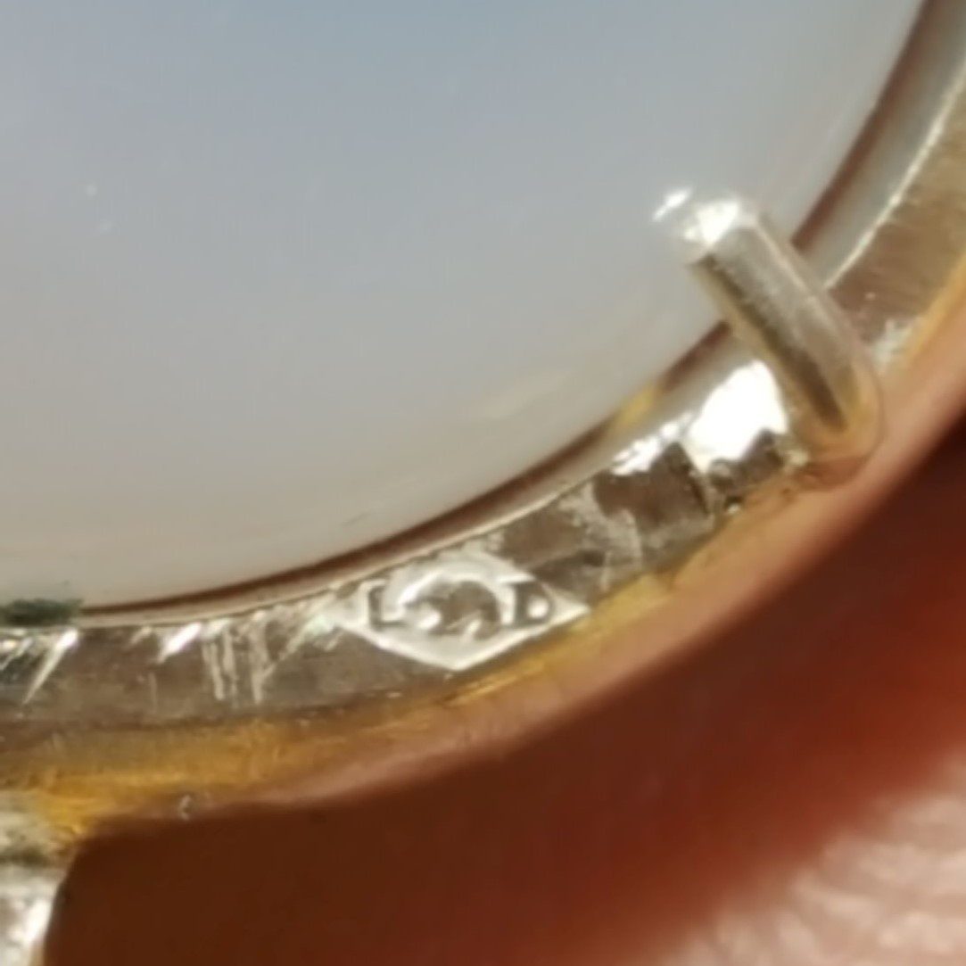 Entre algue et fougère... – Image 5