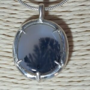 Entre algue et fougère...