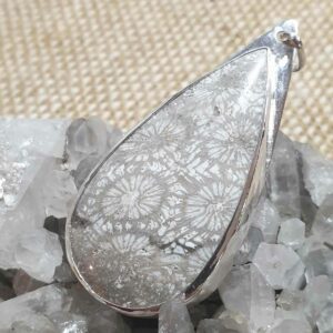 Pendentif corail fossile et hirondelle